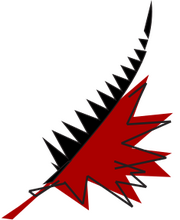 Logo maple leaf and fern logo